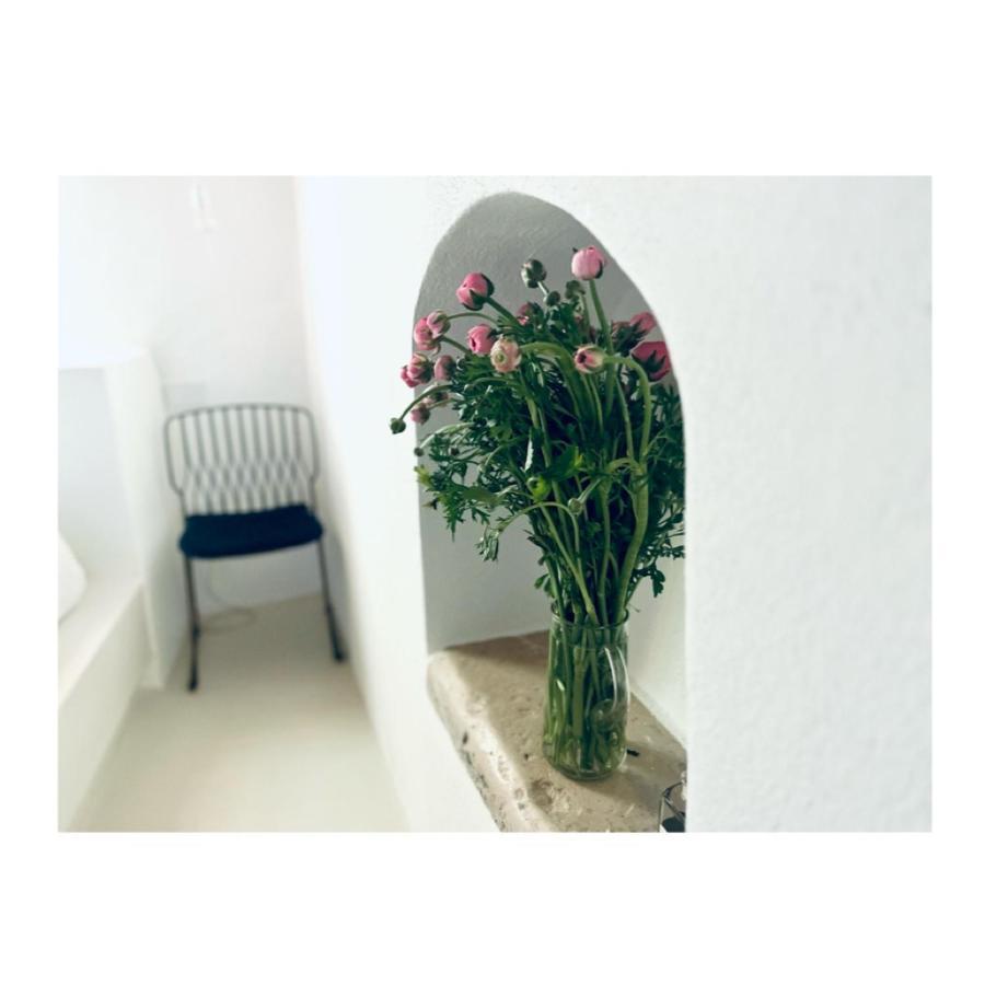 Hydria Guest House Art Gallery 阿夸维瓦德莱丰蒂 外观 照片