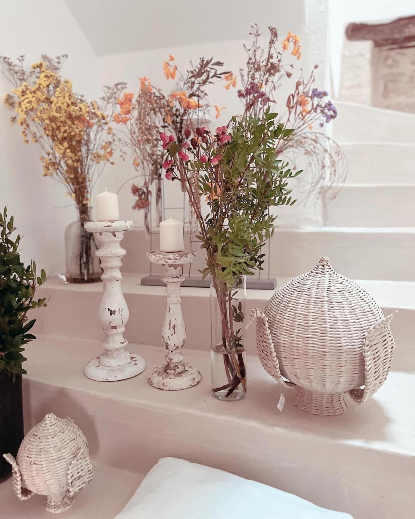Hydria Guest House Art Gallery 阿夸维瓦德莱丰蒂 外观 照片