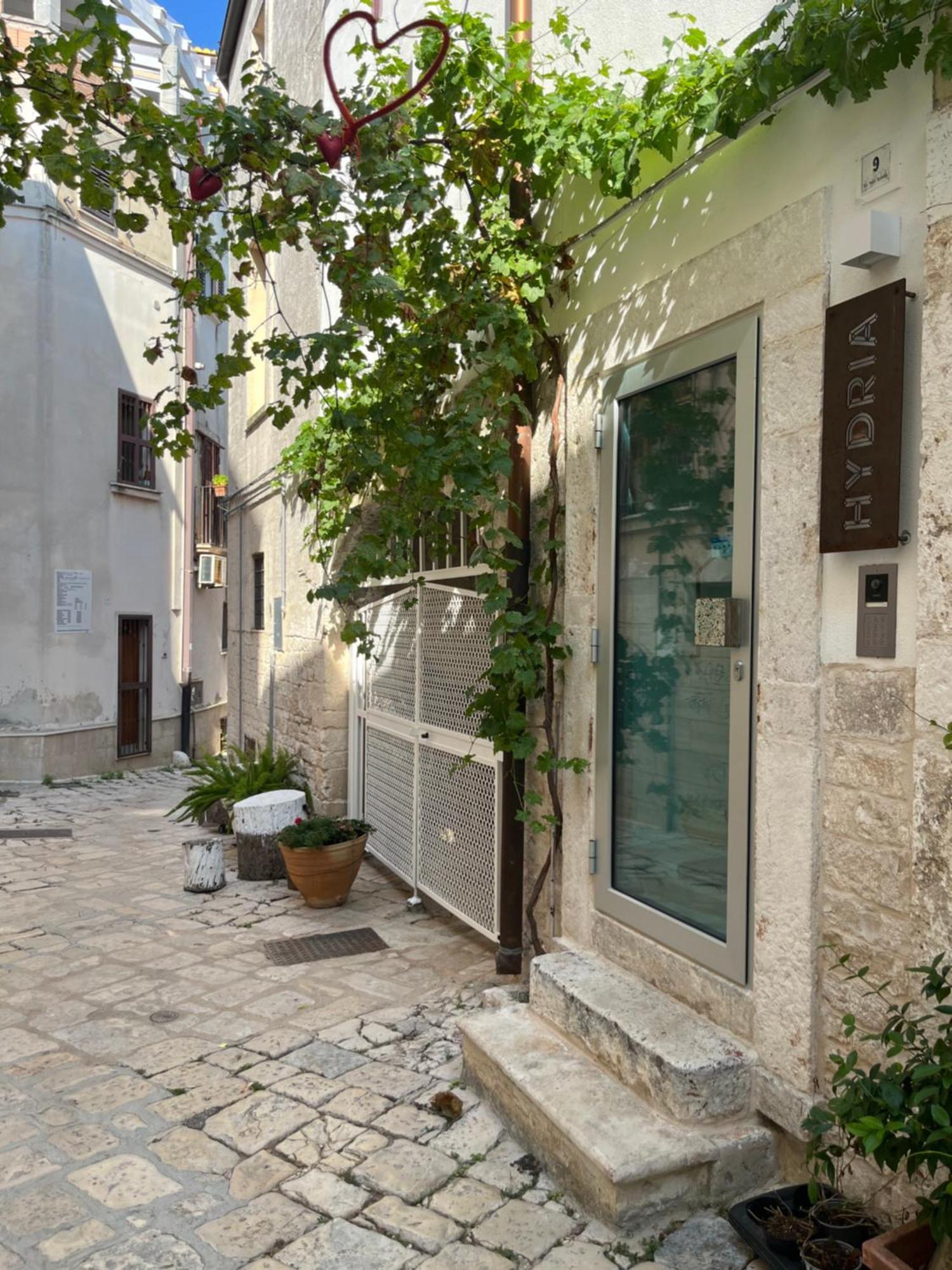Hydria Guest House Art Gallery 阿夸维瓦德莱丰蒂 外观 照片
