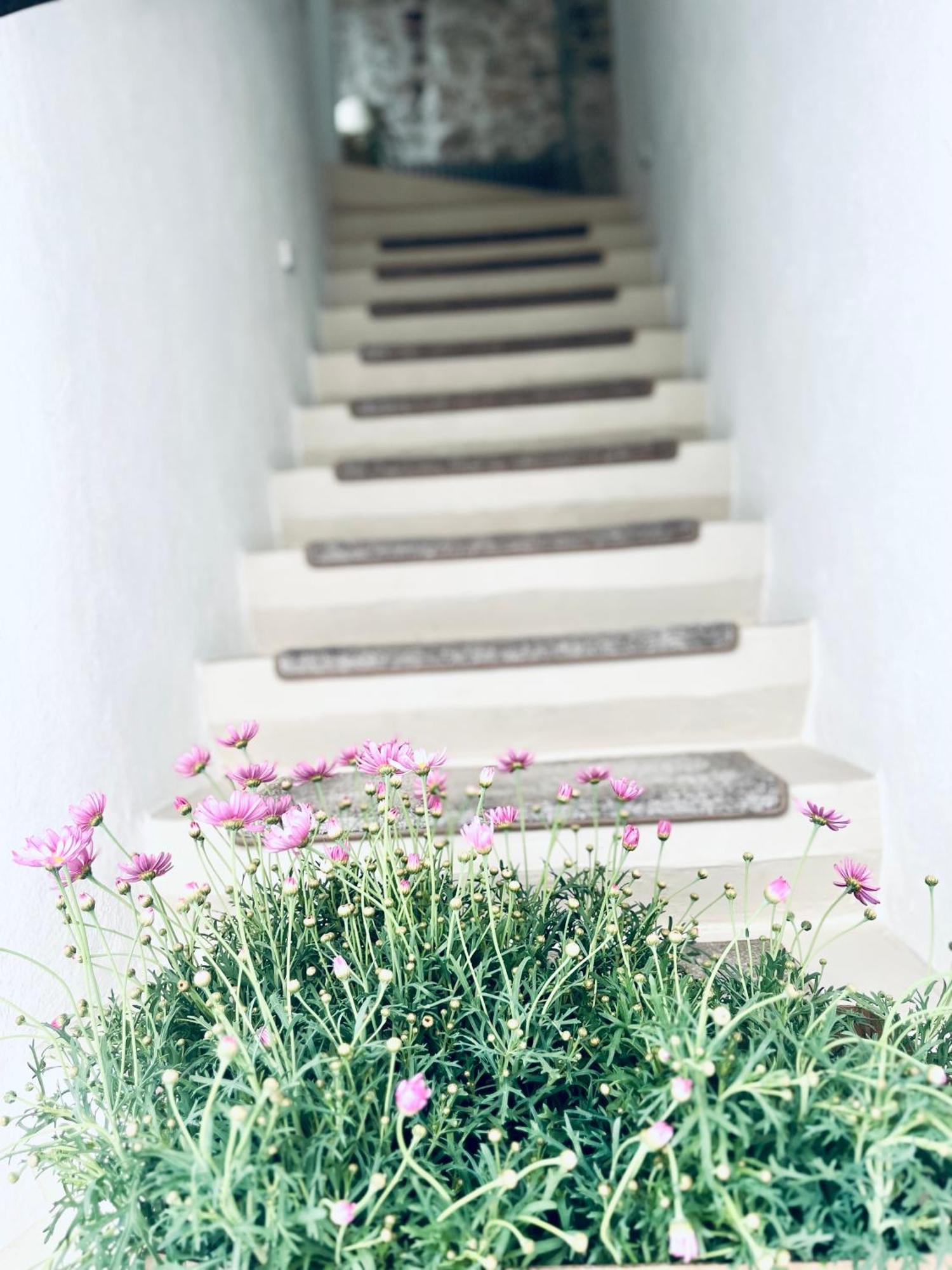 Hydria Guest House Art Gallery 阿夸维瓦德莱丰蒂 外观 照片